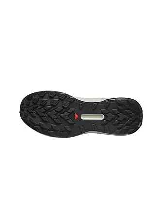 SALOMON | Chaussures de trail Genesis pour hommes | schwarz